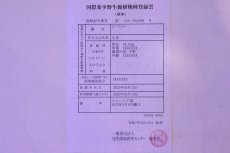 画像8: 【淡水魚】【通販】セレクト個体 証明書付き 紅龍(フォーエバーレッド)登録番号250-002999【個体販売】(熱帯魚)NKO(熱帯魚)NKO (8)