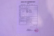 画像8: 【淡水魚】【通販】セレクト個体 証明書付き 紅龍(チリレッド)顎赤あり 登録番号250-003065【個体販売】(熱帯魚)NKO(熱帯魚)NKO (8)