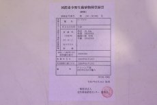画像8: 【淡水魚】【通販】セレクト個体 証明書付き 紅龍(チリレッド)登録番号250-003062【個体販売】(熱帯魚)NKO(熱帯魚)NKO (8)