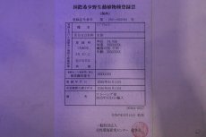 画像9: 【淡水魚】【通販】セレクト個体 証明書付き 過背金龍(クロスバッグゴールデン)登録番号250-003024【個体販売】(熱帯魚)NKO(熱帯魚)NKO (9)