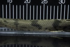 画像7: 【淡水魚】【通販】No3 オス ポリプテルス エンドリケリー YEWA産 ワイルド【個体販売】(±36cm)(大型魚)(生体)(熱帯魚)NKO (7)