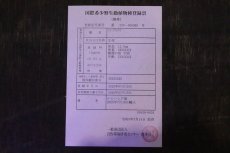 画像4: 【淡水魚】【通販】セレクト個体 証明書付き 過背金龍(クロスバッグゴールデン)登録番号250-005069【個体販売】【アジアアロワナ】(±14cm)(大型魚)(生体)(熱帯魚)NKO (4)