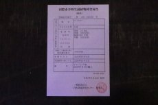 画像4: 【淡水魚】【通販】セレクト個体 証明書付き 過背金龍(クロスバッグゴールデン)登録番号250-005078【個体販売】【アジアアロワナ】(±14cm)(大型魚)(生体)(熱帯魚)NKO (4)
