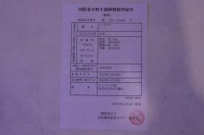 画像10: 【淡水魚】【通販】上物個体 ゴールドヘッド 過背金龍 アジアアロワナ 証明書付き 登録番号250-009463【個体販売】(±32cm)(大型魚)(生体)(熱帯魚)NKO (10)