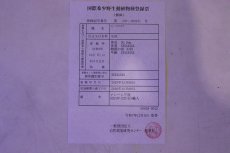 画像9: 【淡水魚】【通販】上物個体 過背金龍 アジアアロワナ 証明書付き 登録番号250-009471【個体販売】(±25cm)(大型魚)(生体)(熱帯魚)NKO (9)