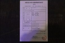 画像8: 【淡水魚】【通販】セレクト個体 証明書付き 紅龍(フォーエバーレッド)登録番号250-005039【個体販売】【アジアアロワナ】(±22cm)(大型魚)(生体)(熱帯魚)NKO (8)