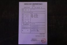 画像8: 【淡水魚】【通販】セレクト個体 証明書付き＆ステッカー付 SUMO STYLE 紅龍(エクストリームレッド)登録番号250-004133【個体販売】【アジアアロワナ】(±21cm)(大型魚)(生体)(熱帯魚)NKO (8)