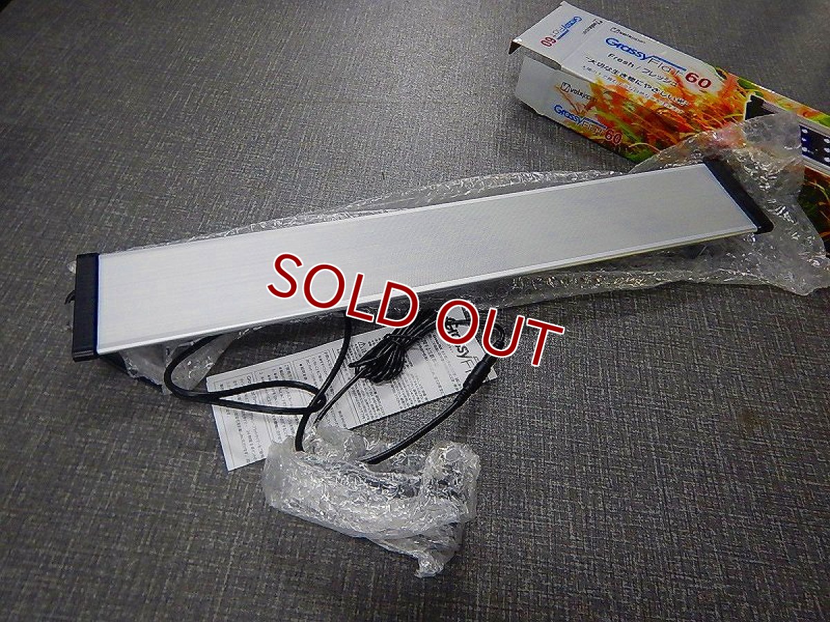 画像2: 【アウトレット】【照明器具】Grassy  Flat60  Freshwatertank (2)