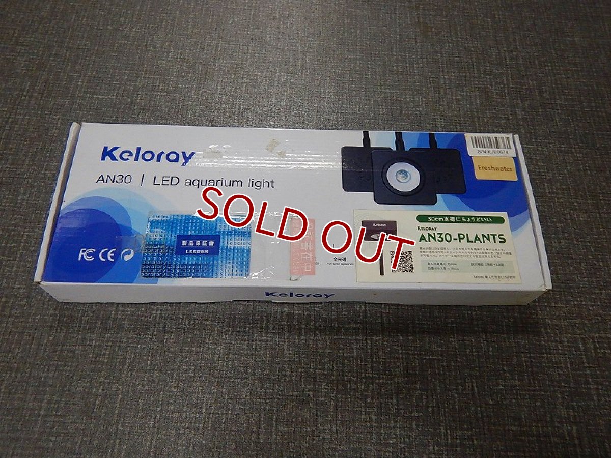 画像1: 【アウトレット】【照明器具】KELORAY AN30-PLANTS (1)