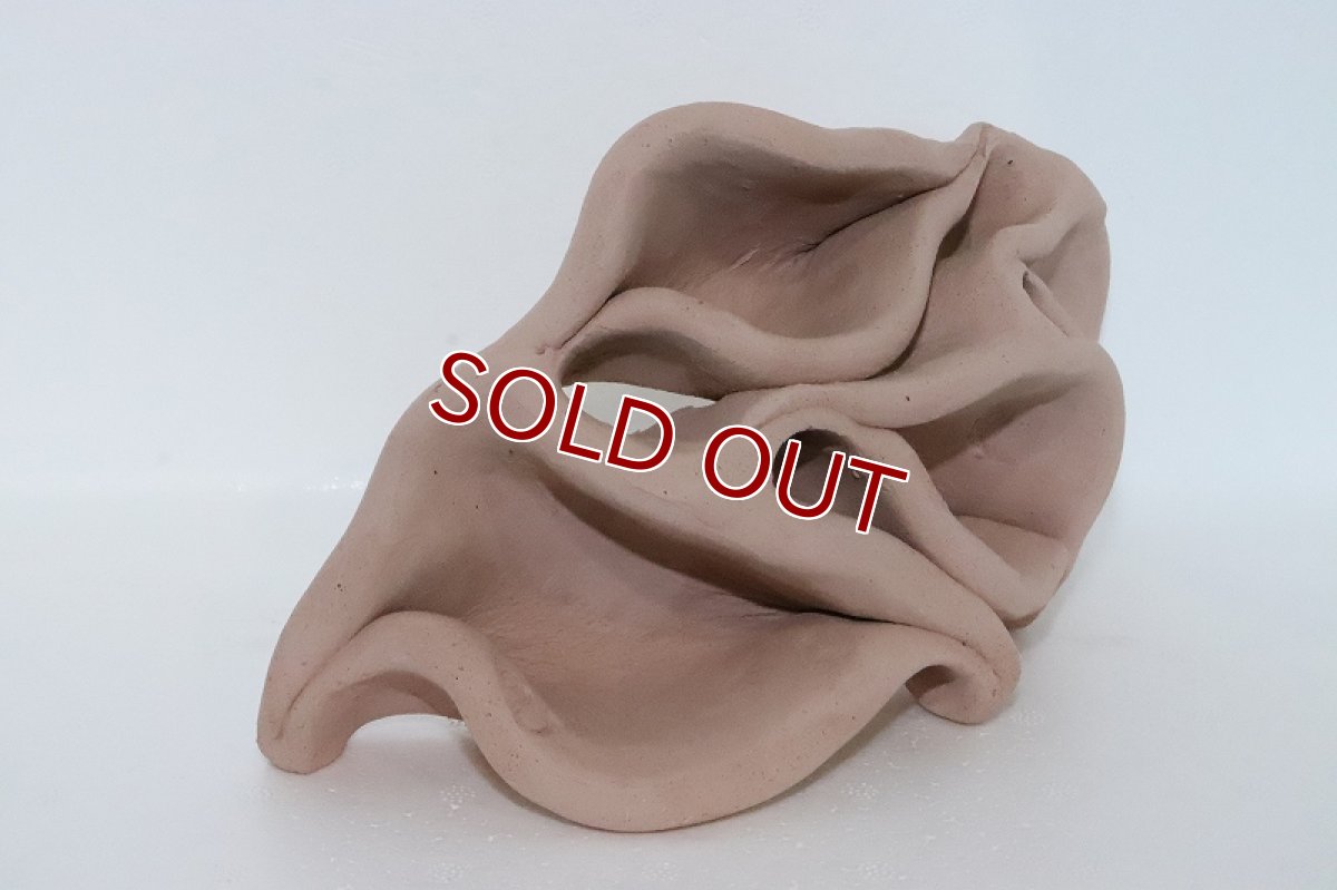 画像2: 【熱帯魚 シェルター】シェルタクラフタ どら焼き型4連結シェルター【個体販売】(淡水) (2)