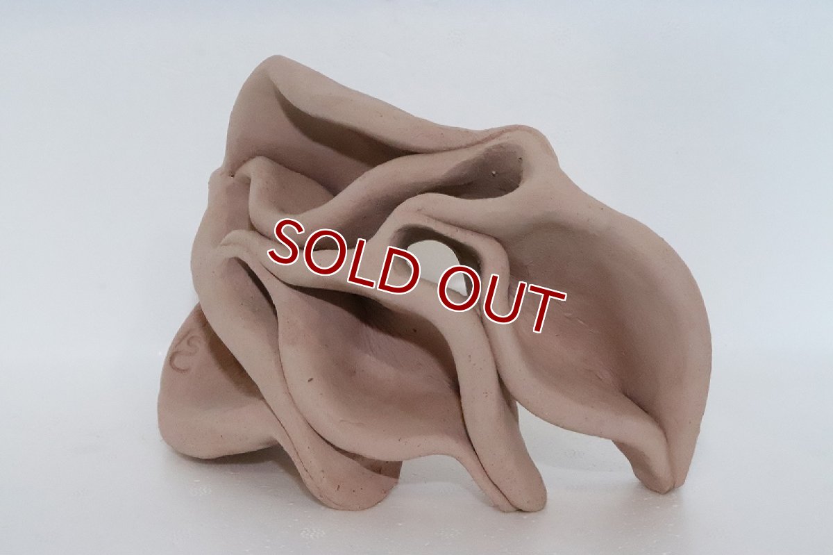 画像3: 【熱帯魚 シェルター】シェルタクラフタ どら焼き型4連結シェルター【個体販売】(淡水) (3)