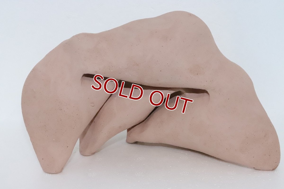 画像4: 【熱帯魚 シェルター】シェルタクラフタ どら焼き型4連結シェルター【個体販売】(淡水) (4)