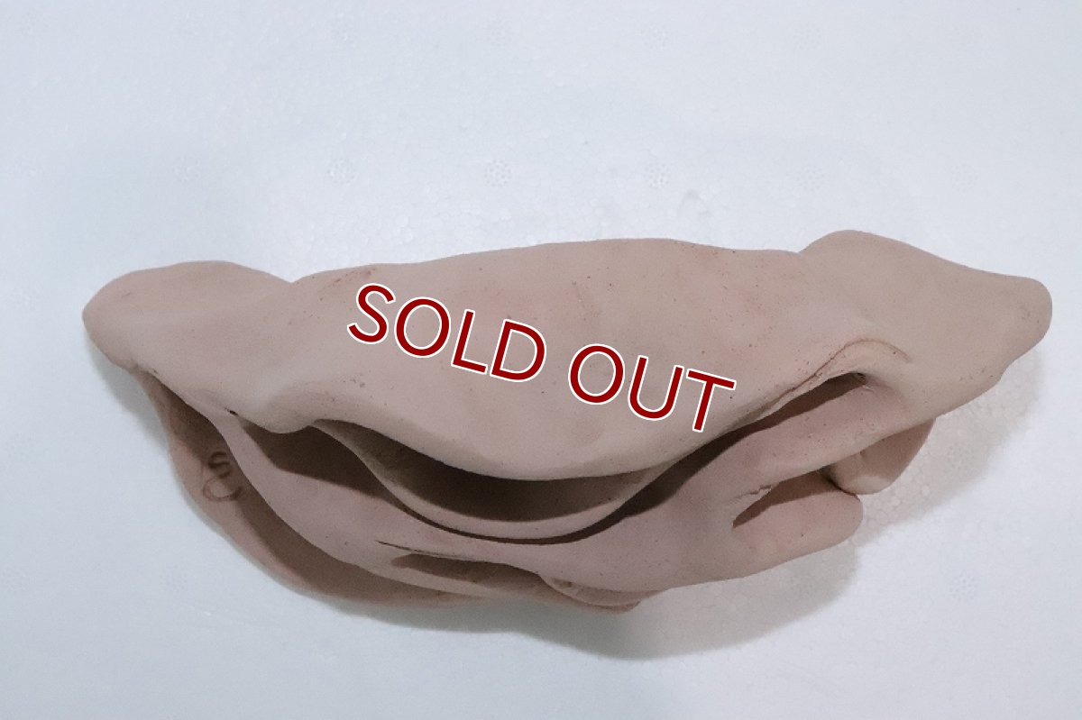 画像5: 【熱帯魚 シェルター】シェルタクラフタ どら焼き型4連結シェルター【個体販売】(淡水) (5)