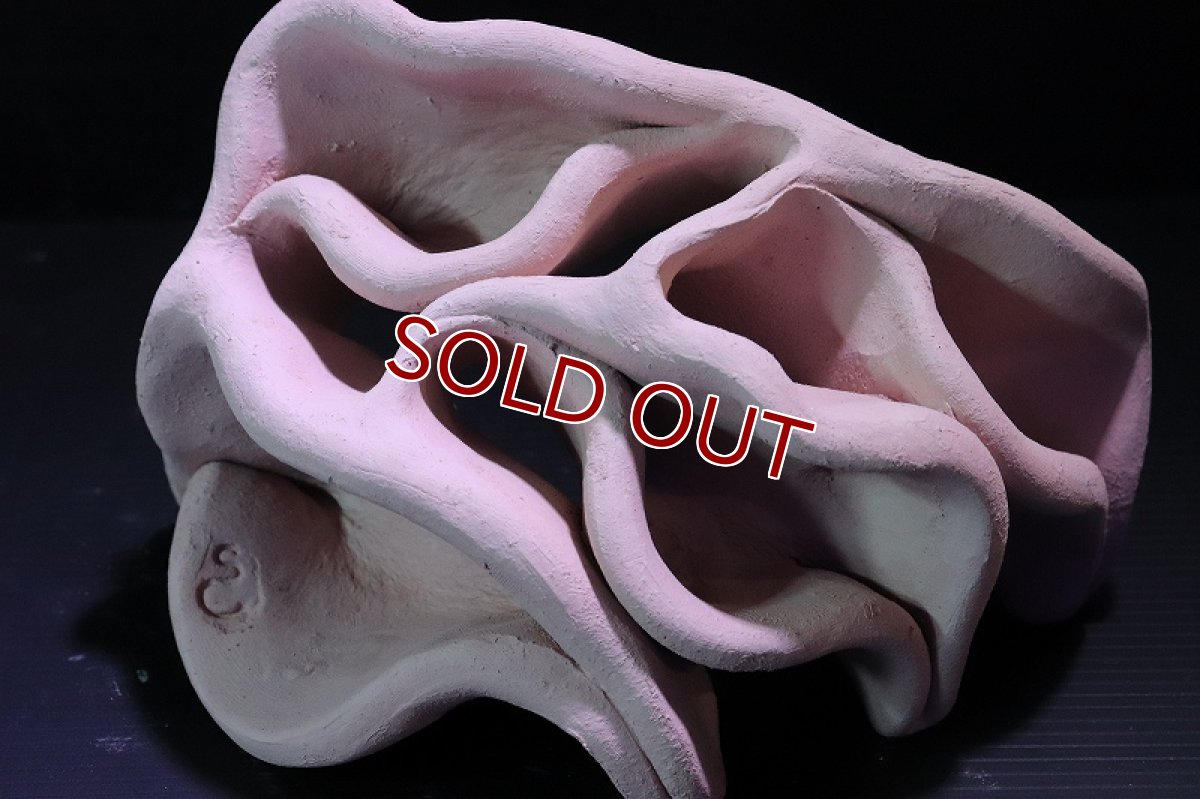 画像2: 【熱帯魚 シェルター】シェルタクラフタ No1 どら焼き型4連結シェルター【個体販売】(淡水) (2)