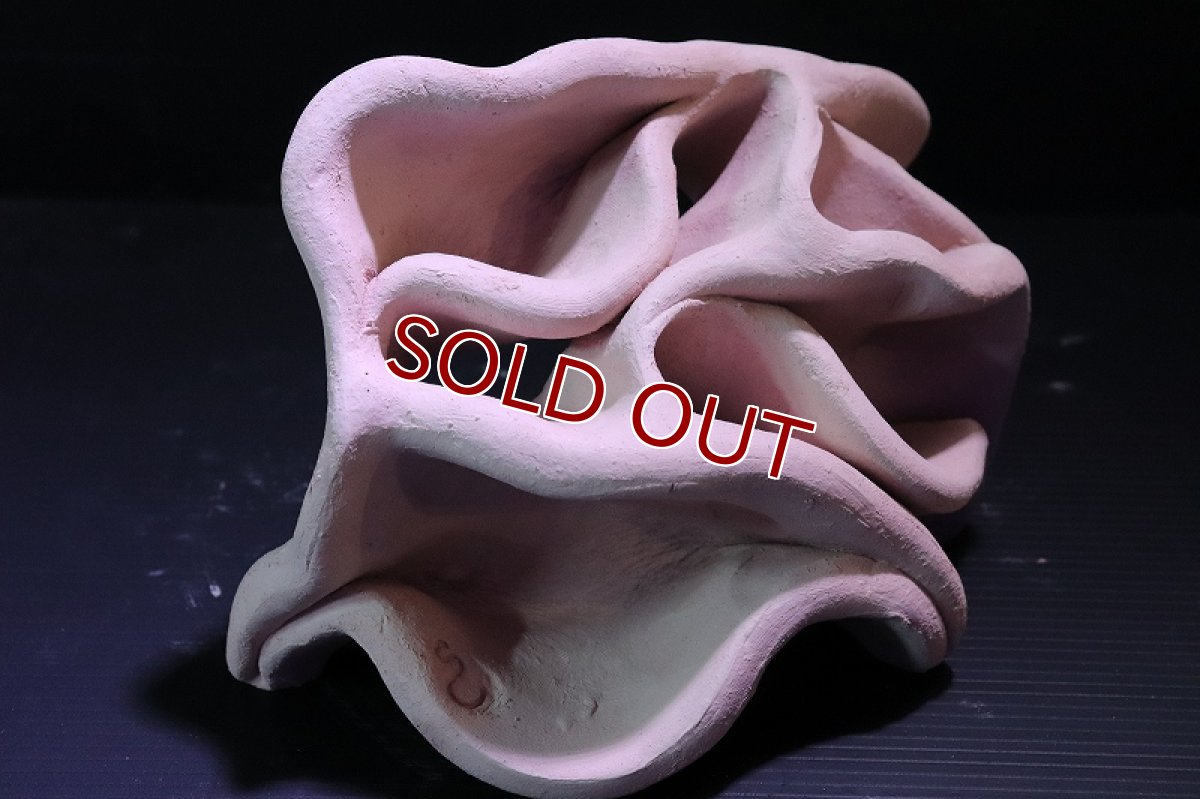 画像3: 【熱帯魚 シェルター】シェルタクラフタ No1 どら焼き型4連結シェルター【個体販売】(淡水) (3)