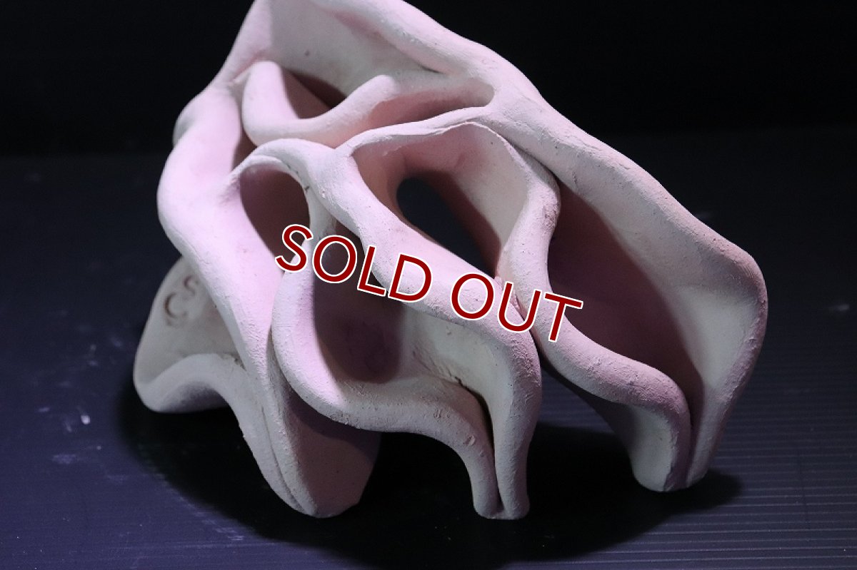 画像4: 【熱帯魚 シェルター】シェルタクラフタ No1 どら焼き型4連結シェルター【個体販売】(淡水) (4)