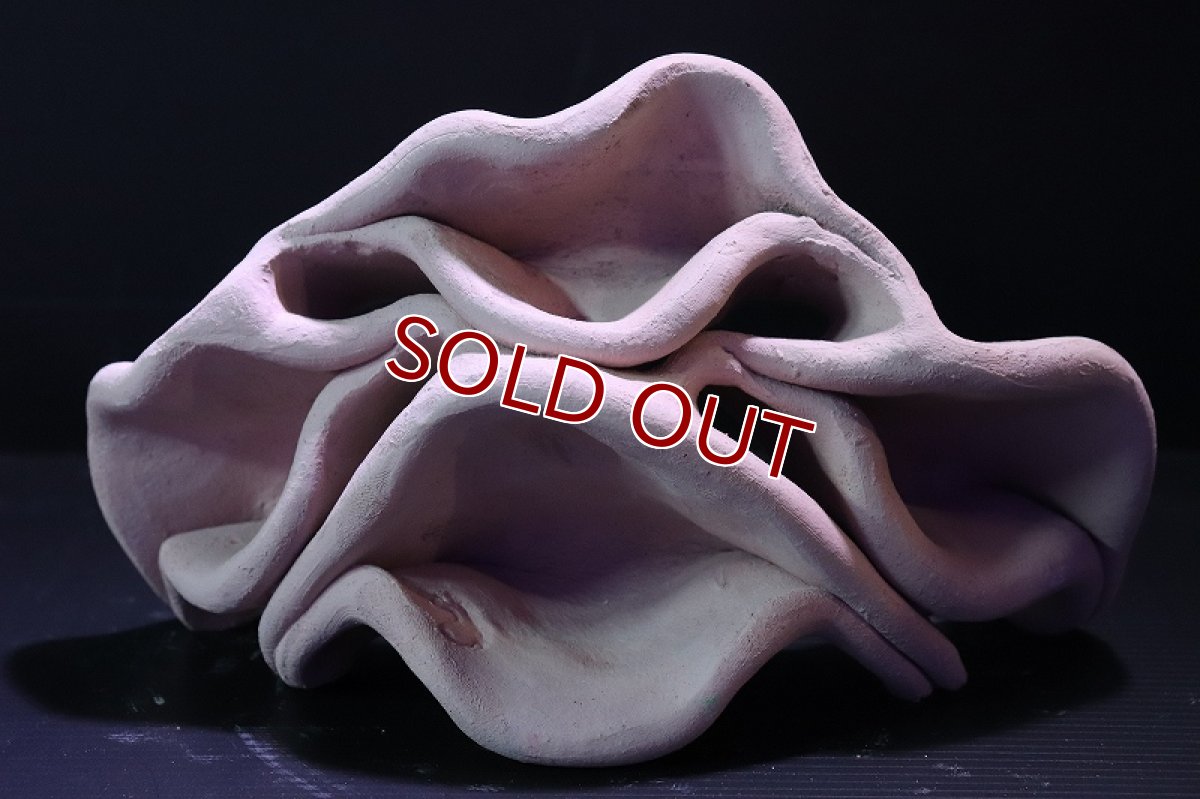 画像2: 【熱帯魚 シェルター】シェルタクラフタ No2 どら焼き型4連結シェルター【個体販売】(淡水) (2)