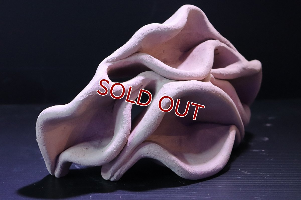 画像3: 【熱帯魚 シェルター】シェルタクラフタ No2 どら焼き型4連結シェルター【個体販売】(淡水) (3)