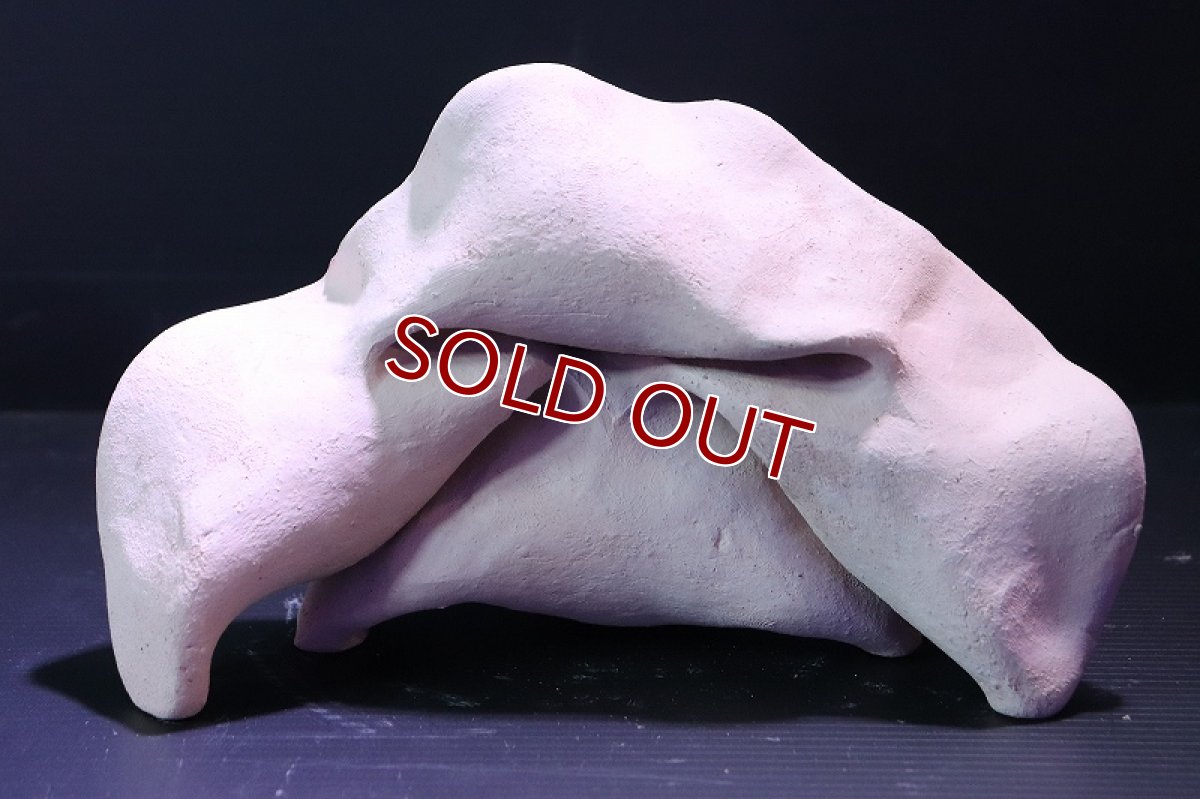 画像5: 【熱帯魚 シェルター】シェルタクラフタ No2 どら焼き型4連結シェルター【個体販売】(淡水) (5)