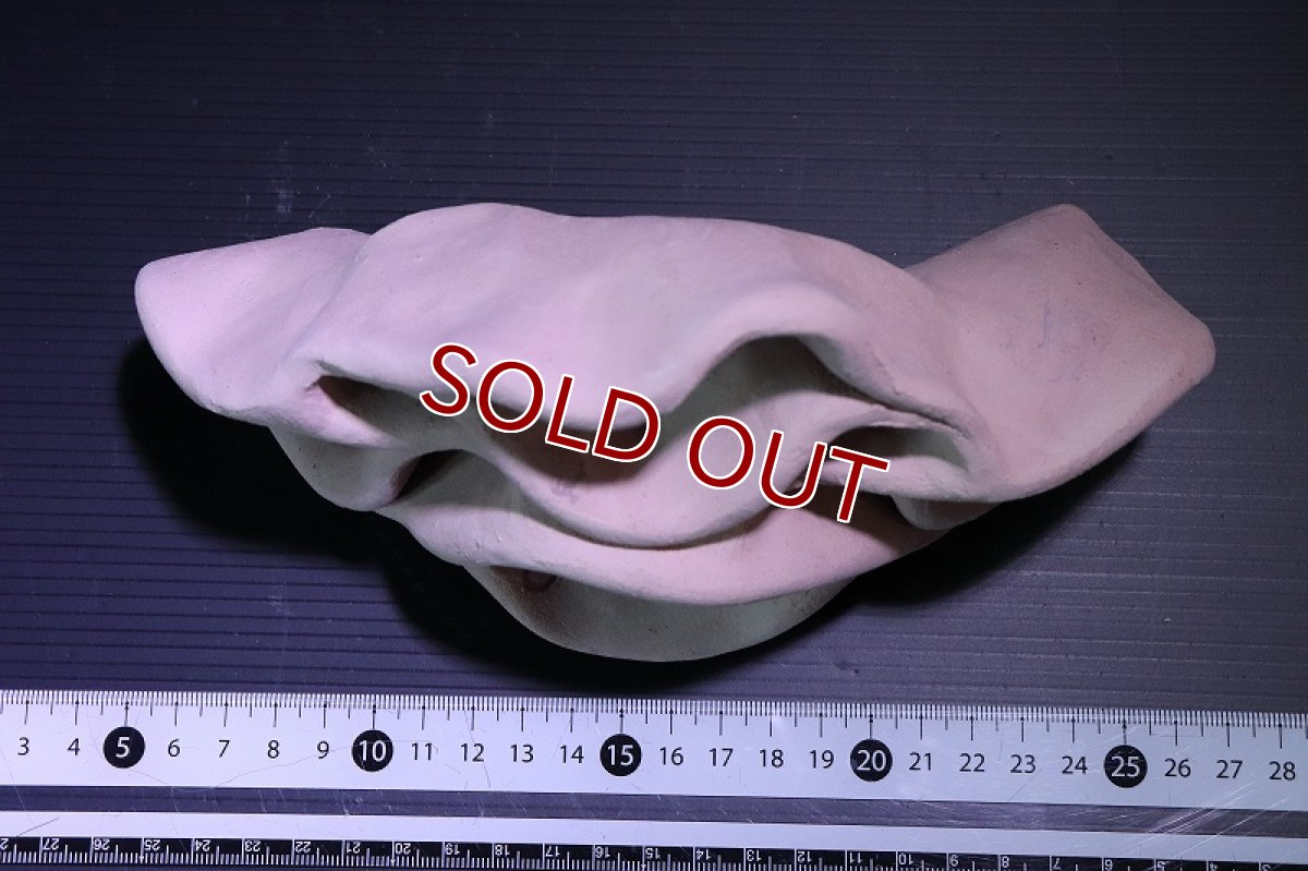 画像6: 【熱帯魚 シェルター】シェルタクラフタ No2 どら焼き型4連結シェルター【個体販売】(淡水) (6)