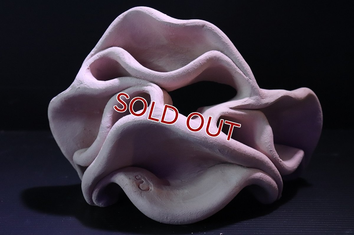 画像2: 【熱帯魚 シェルター】シェルタクラフタ No3 どら焼き型4連結シェルター【個体販売】(淡水) (2)