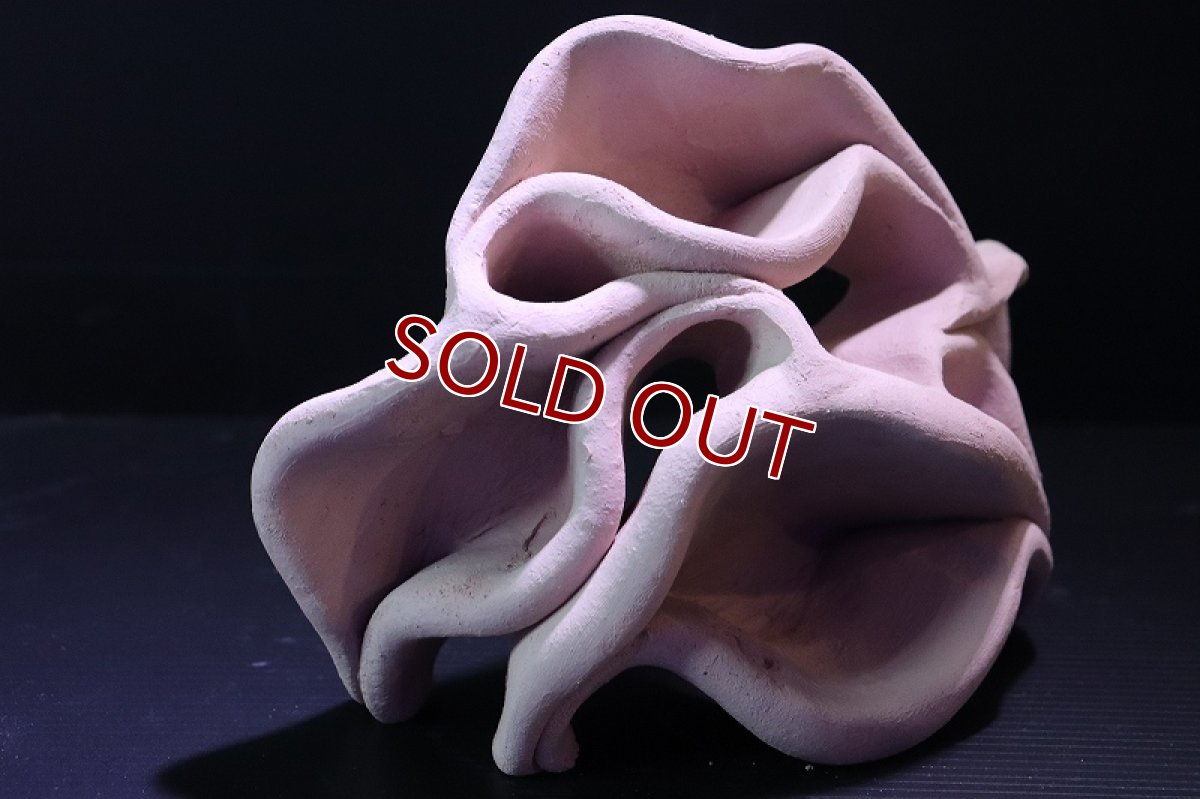 画像3: 【熱帯魚 シェルター】シェルタクラフタ No3 どら焼き型4連結シェルター【個体販売】(淡水) (3)