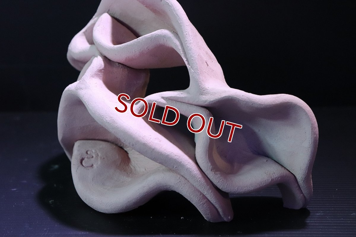 画像4: 【熱帯魚 シェルター】シェルタクラフタ No3 どら焼き型4連結シェルター【個体販売】(淡水) (4)