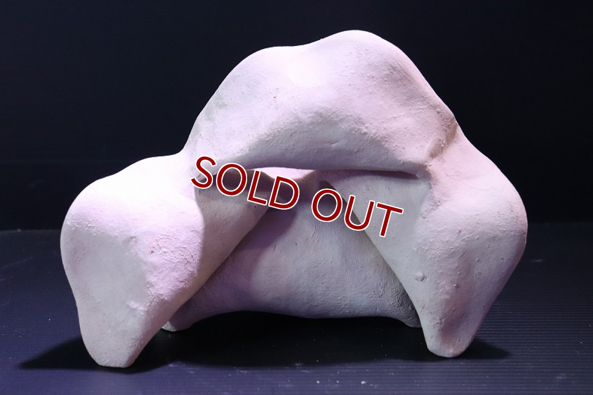 画像5: 【熱帯魚 シェルター】シェルタクラフタ No3 どら焼き型4連結シェルター【個体販売】(淡水) (5)