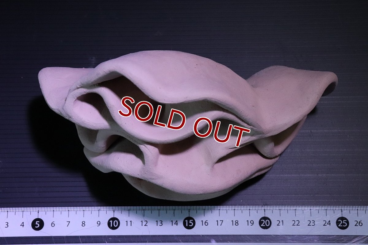 画像6: 【熱帯魚 シェルター】シェルタクラフタ No3 どら焼き型4連結シェルター【個体販売】(淡水) (6)