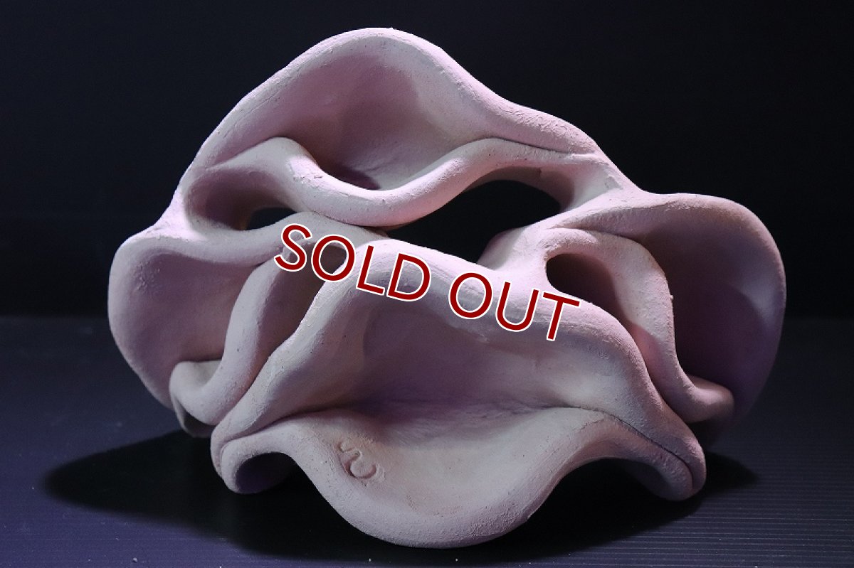 画像2: 【熱帯魚 シェルター】シェルタクラフタ No4 どら焼き型4連結シェルター【個体販売】(淡水) (2)