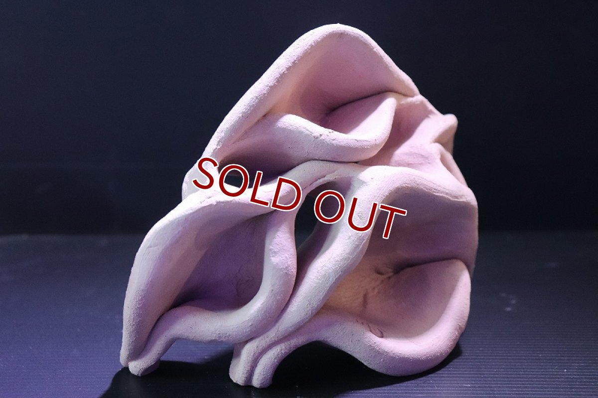 画像3: 【熱帯魚 シェルター】シェルタクラフタ No4 どら焼き型4連結シェルター【個体販売】(淡水) (3)