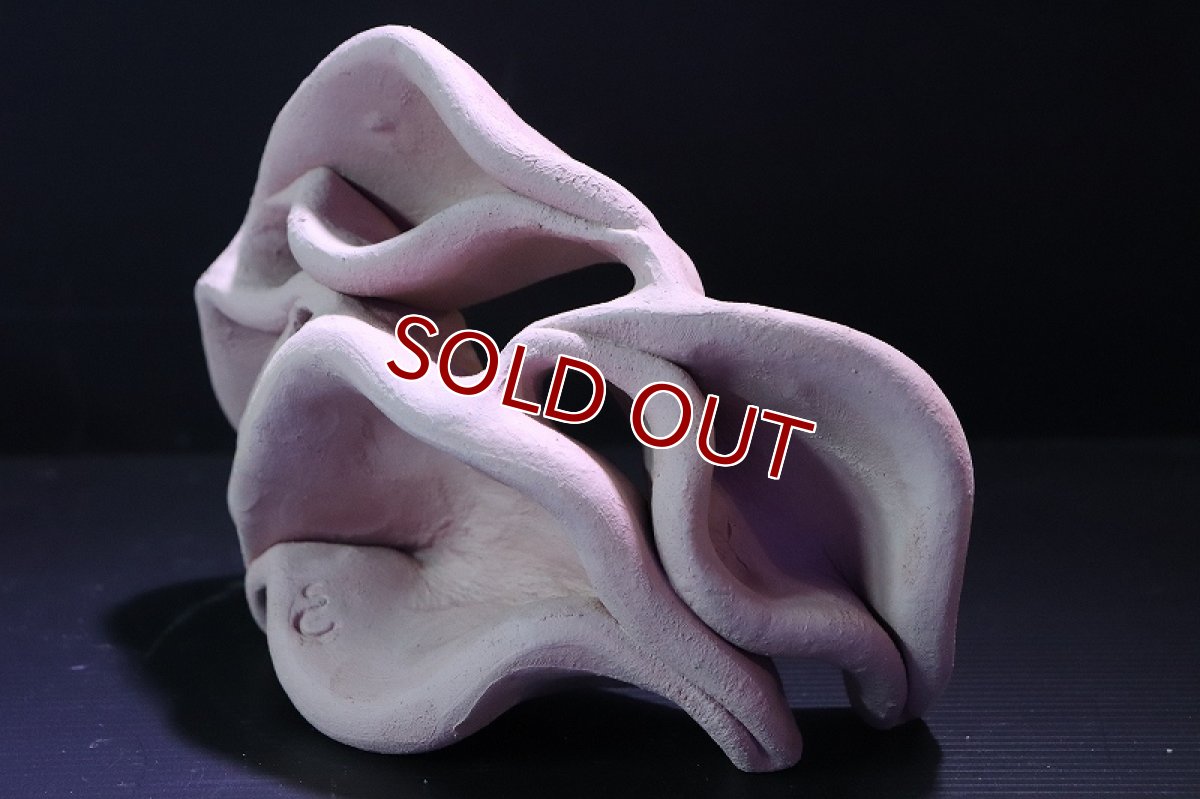 画像4: 【熱帯魚 シェルター】シェルタクラフタ No4 どら焼き型4連結シェルター【個体販売】(淡水) (4)