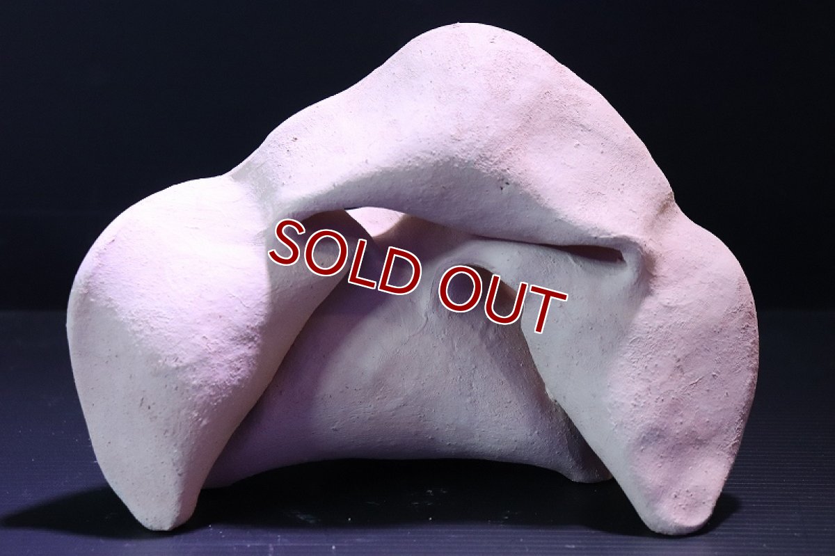 画像5: 【熱帯魚 シェルター】シェルタクラフタ No4 どら焼き型4連結シェルター【個体販売】(淡水) (5)