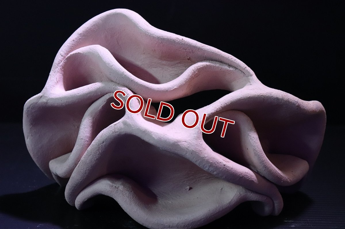 画像2: 【熱帯魚 シェルター】シェルタクラフタ No5 どら焼き型4連結シェルター【個体販売】(淡水) (2)