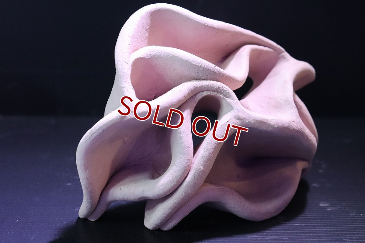 画像3: 【熱帯魚 シェルター】シェルタクラフタ No5 どら焼き型4連結シェルター【個体販売】(淡水) (3)