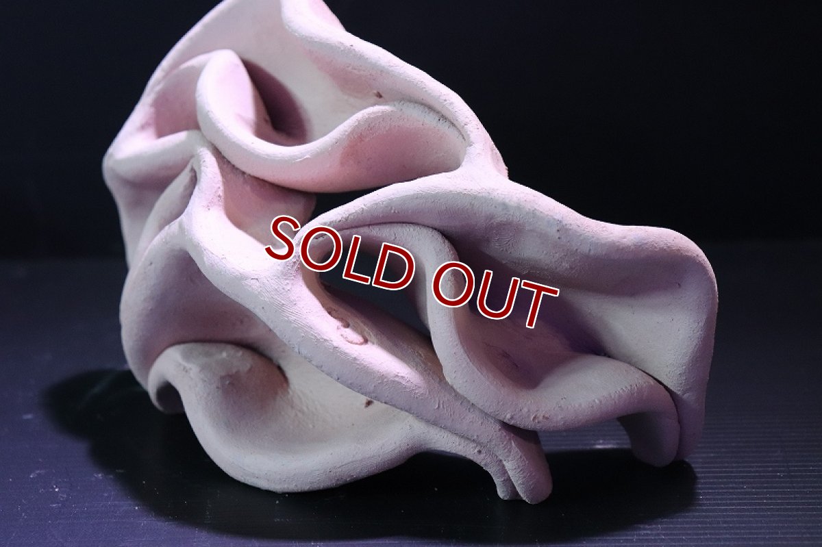 画像4: 【熱帯魚 シェルター】シェルタクラフタ No5 どら焼き型4連結シェルター【個体販売】(淡水) (4)