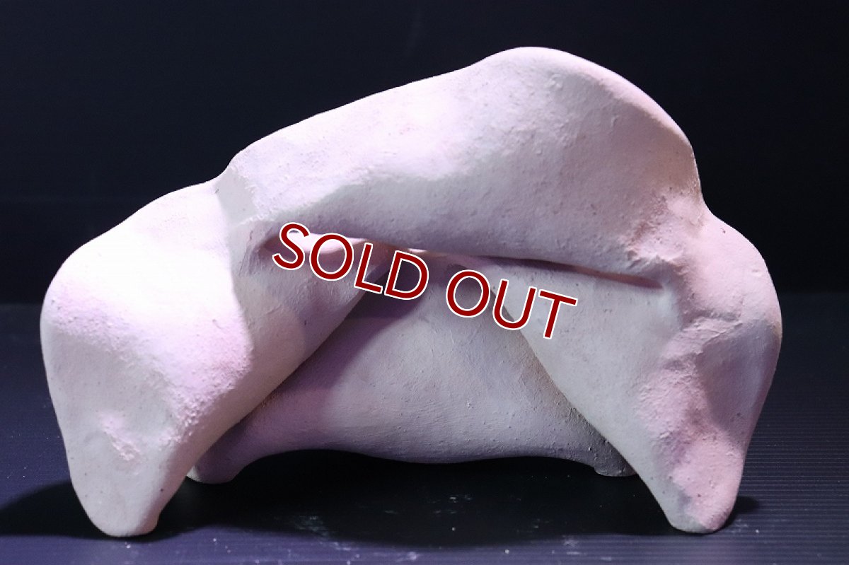 画像5: 【熱帯魚 シェルター】シェルタクラフタ No5 どら焼き型4連結シェルター【個体販売】(淡水) (5)