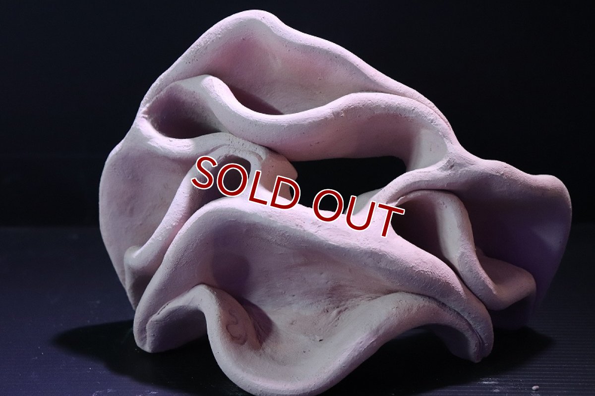 画像2: 【熱帯魚 シェルター】シェルタクラフタ No6 どら焼き型4連結シェルター【個体販売】(淡水) (2)