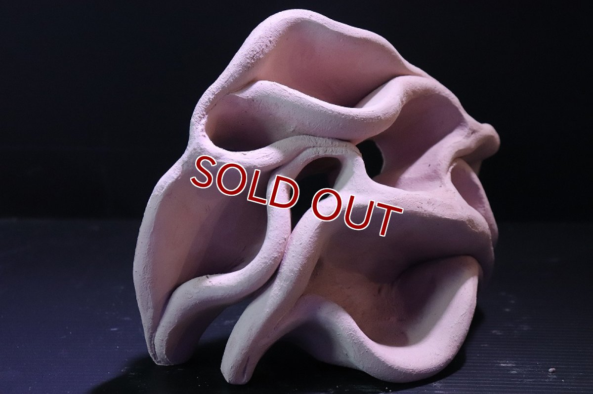 画像3: 【熱帯魚 シェルター】シェルタクラフタ No6 どら焼き型4連結シェルター【個体販売】(淡水) (3)