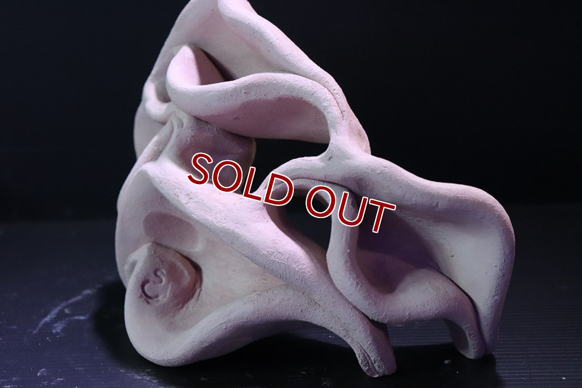 画像4: 【熱帯魚 シェルター】シェルタクラフタ No6 どら焼き型4連結シェルター【個体販売】(淡水) (4)