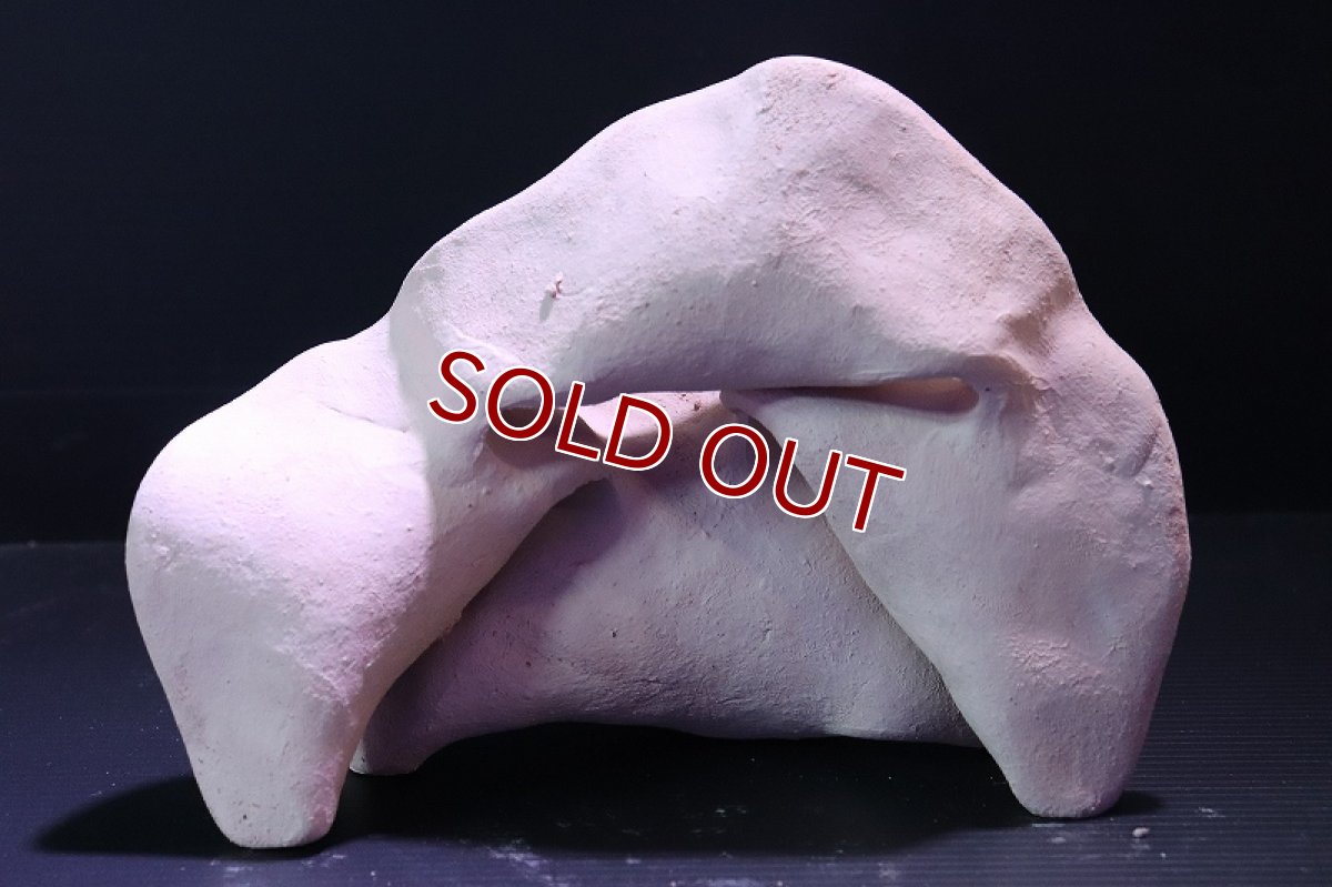 画像5: 【熱帯魚 シェルター】シェルタクラフタ No6 どら焼き型4連結シェルター【個体販売】(淡水) (5)