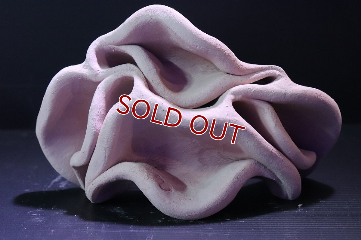 画像2: 【熱帯魚 シェルター】シェルタクラフタ No7 どら焼き型4連結シェルター【個体販売】(淡水) (2)