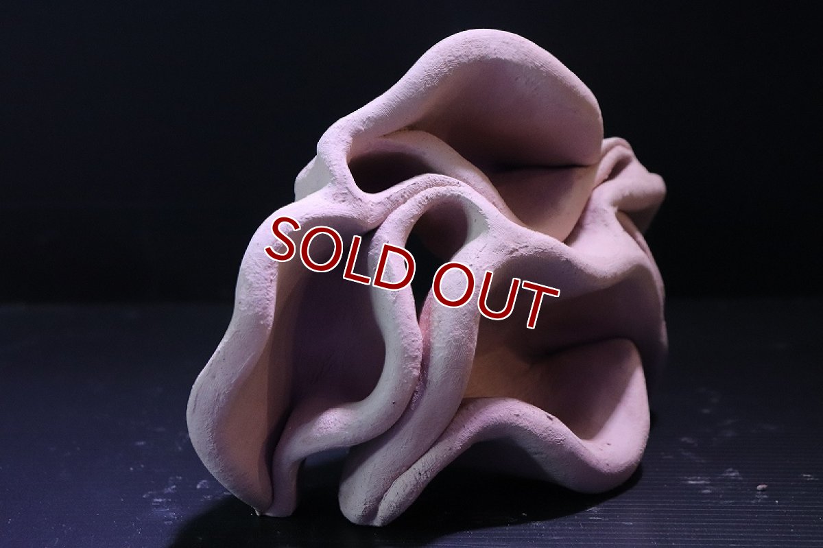 画像3: 【熱帯魚 シェルター】シェルタクラフタ No7 どら焼き型4連結シェルター【個体販売】(淡水) (3)