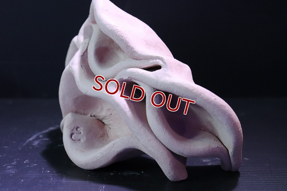 画像4: 【熱帯魚 シェルター】シェルタクラフタ No7 どら焼き型4連結シェルター【個体販売】(淡水) (4)