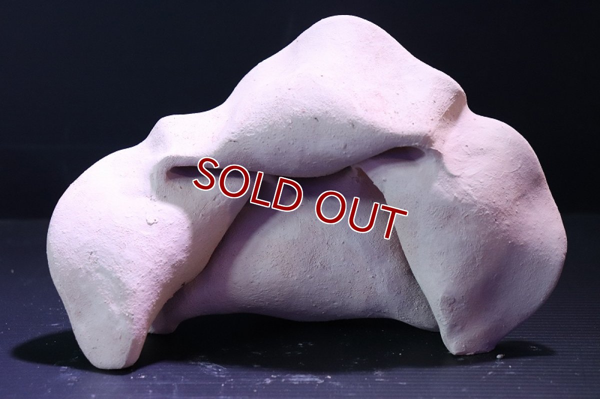 画像5: 【熱帯魚 シェルター】シェルタクラフタ No7 どら焼き型4連結シェルター【個体販売】(淡水) (5)