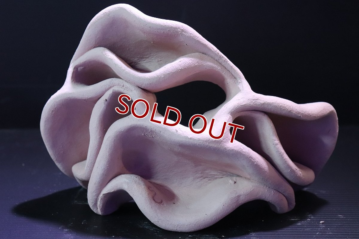 画像2: 【熱帯魚 シェルター】シェルタクラフタ No8 どら焼き型4連結シェルター【個体販売】(淡水) (2)