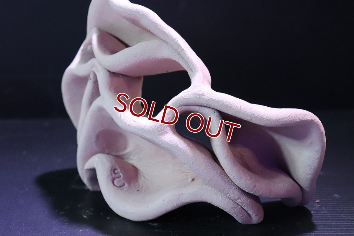 画像4: 【熱帯魚 シェルター】シェルタクラフタ No8 どら焼き型4連結シェルター【個体販売】(淡水) (4)