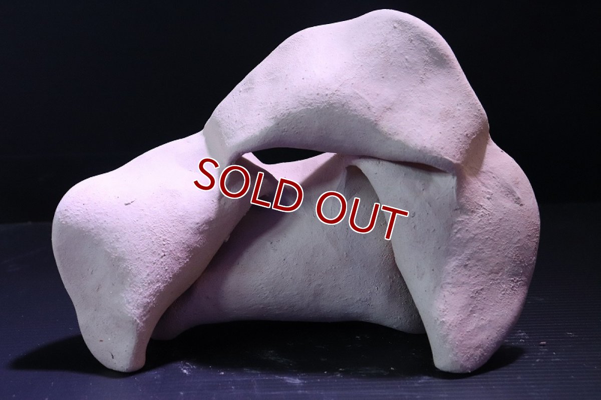 画像5: 【熱帯魚 シェルター】シェルタクラフタ No8 どら焼き型4連結シェルター【個体販売】(淡水) (5)