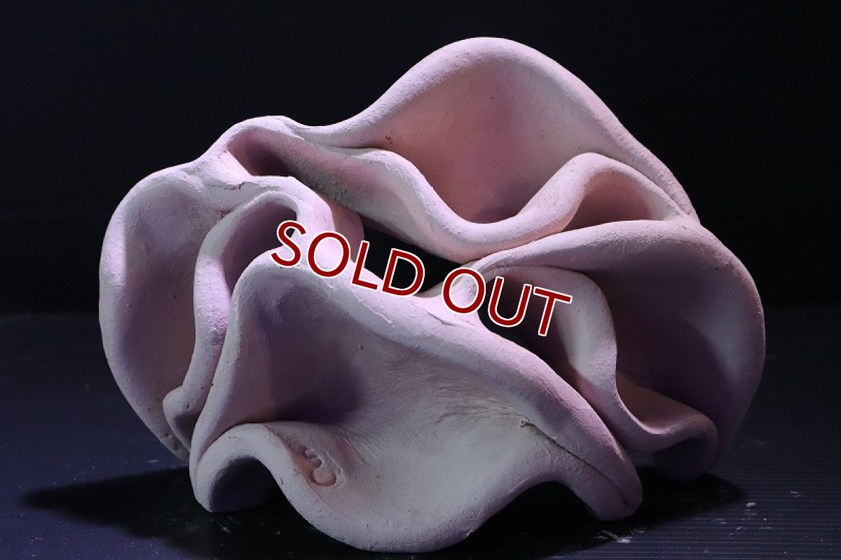 画像2: 【熱帯魚 シェルター】シェルタクラフタ No9 どら焼き型4連結シェルター【個体販売】(淡水) (2)