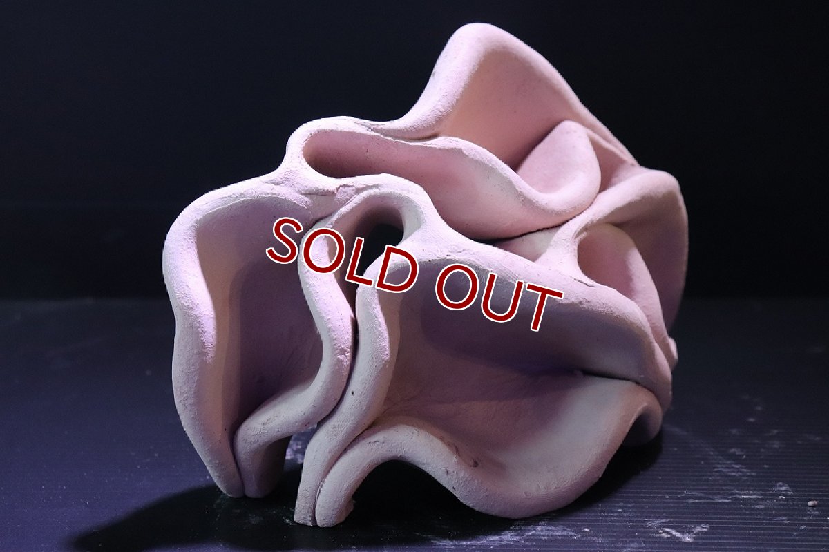 画像3: 【熱帯魚 シェルター】シェルタクラフタ No9 どら焼き型4連結シェルター【個体販売】(淡水) (3)